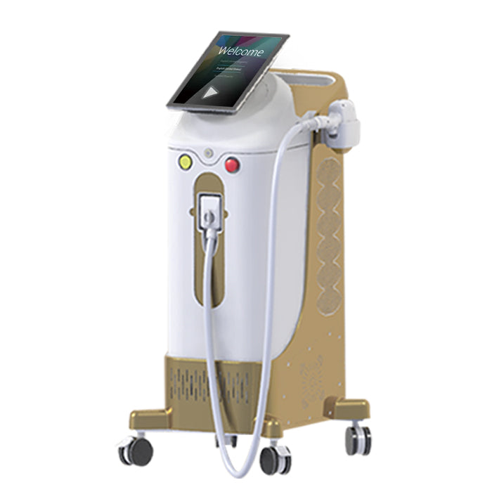 Precio de la máquina de depilación láser de diodo Ice Platinum 810nm en India 
